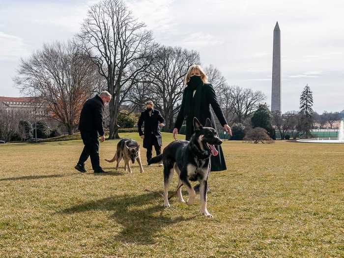 Major and Champ romped around the White House grounds.