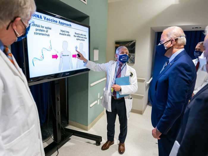 Biden receives a briefing on the coronavirus from top US infectious disease expert Dr. Anthony Fauci.