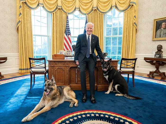 Biden poses with the White House dogs, Champ and Major, in the Oval Office.