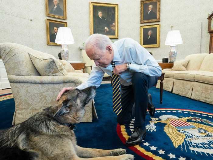 Biden pets Champ, one of the family