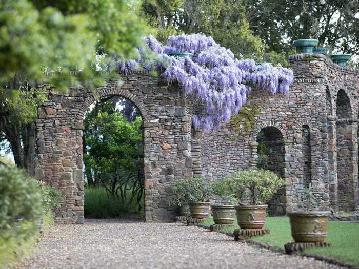 Flowering wisteria plants can be seen on some parts of the property.