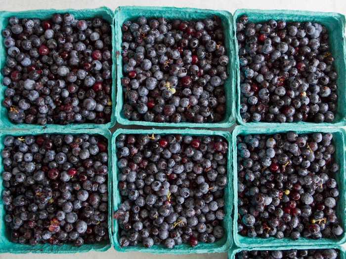 Blueberries are actually a great snack for dogs.