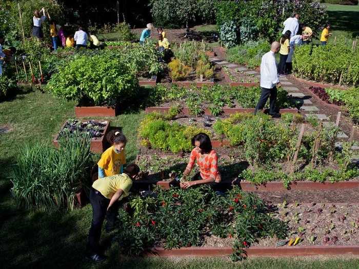 The vegetable garden started by Michelle Obama isn