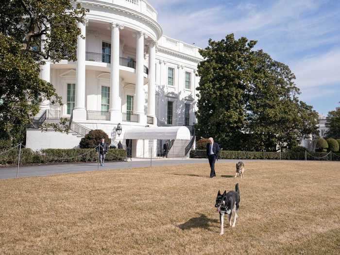 March 21, 2021: The dogs returned to the White House.