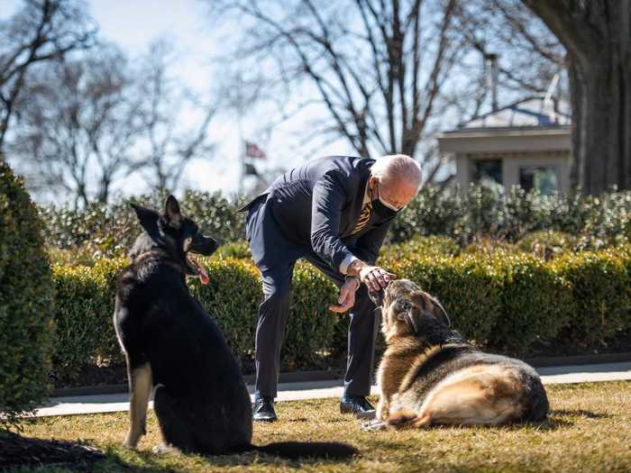 March 17, 2021: In an ABC interview, Biden said Major is "sweet" and that 85% of the White House staff "love" him.