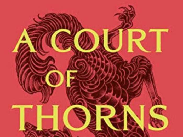 "A Court of Thorns and Roses" by Sarah J. Maas is the first book in a fantasy series that has a large fanbase on TikTok.