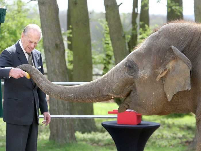 Not all of his trips were so extravagant, though. Here, he visits a zoo where he fed the elephants.