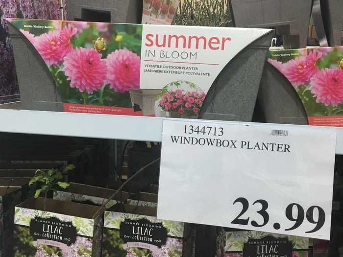 Easily add fresh flowers to outdoor spaces with this window-box planter.