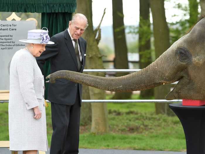 Donna the elephant looked delighted to meet Queen Elizabeth and Prince Philip in 2017.