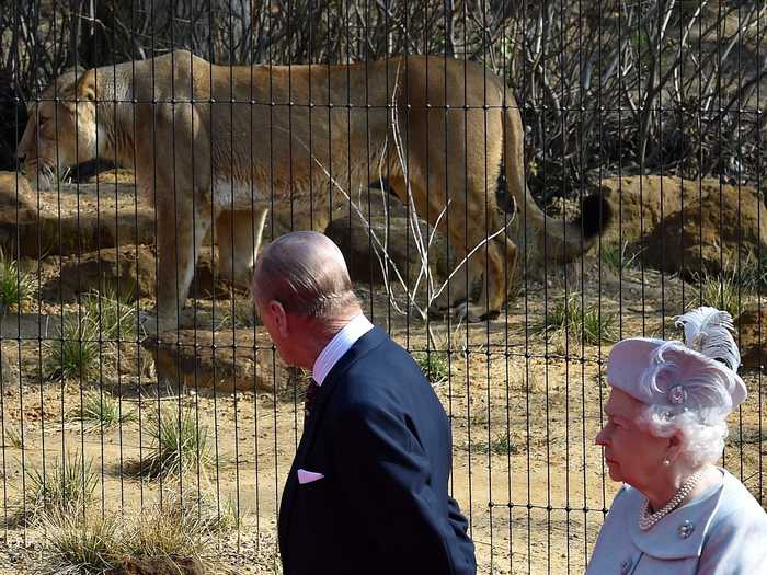 They visited the zoo together in 2016.