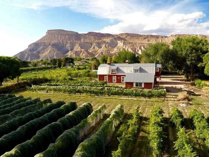 Vineyard barn in Palisade wine country