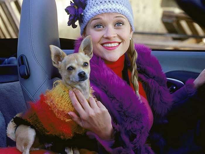 4. "Legally Blonde" (2001)