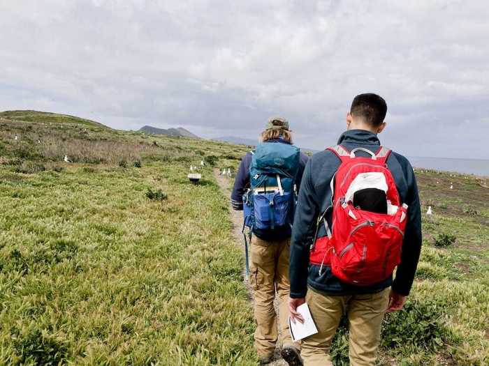 Anacapa Island makes a perfect day trip where you can experience the world of seagulls.