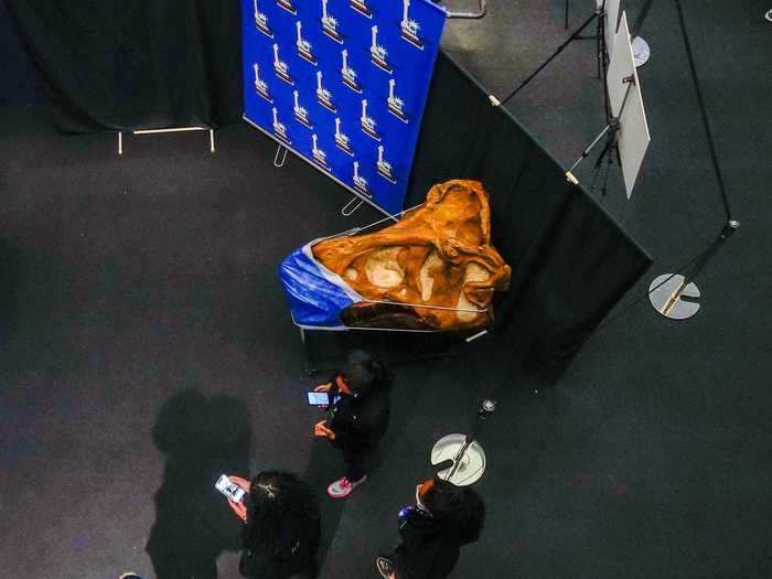 And after getting their shots, New Yorkers can take their photo with a masked dinosaur skull.