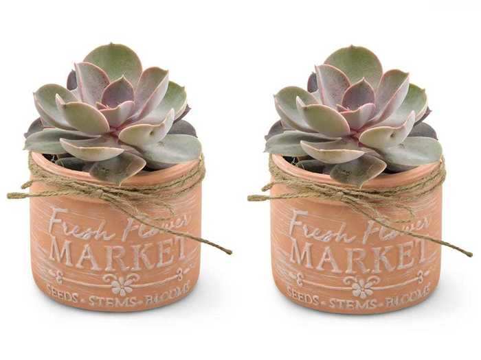 These mason-jar succulents are another sweet gift idea for moms who lack a green thumb.