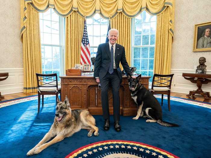 White House photographer Adam Schultz photographed President Joe Biden in the Oval Office with his two German shepherds, Champ and Major.