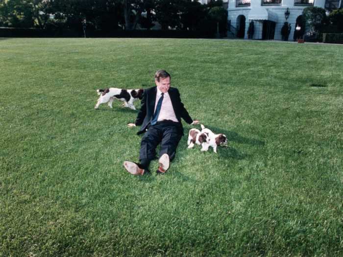 Bush played with the puppies on the White House lawn in 1989.