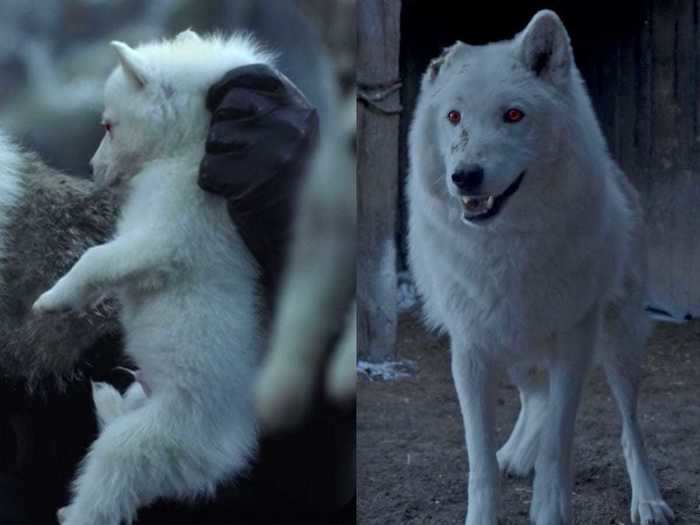 In the pilot, the Starks find direwolves south of the Wall for the first time in centuries. In the finale, Ghost returns back beyond the Wall.