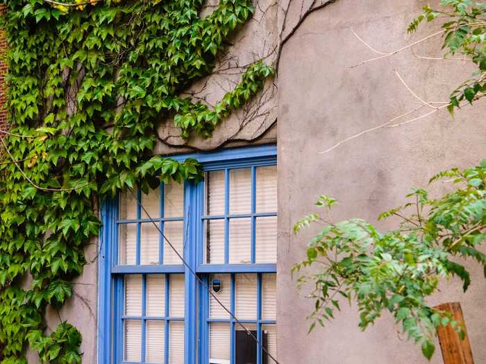 Some houses look like they are being reclaimed by nature with greenery lining the exteriors.