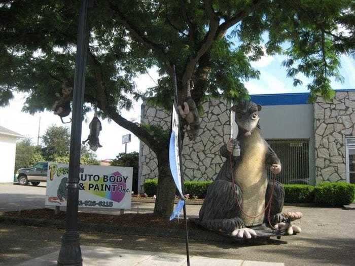 OREGON: Giant Possum in Albany