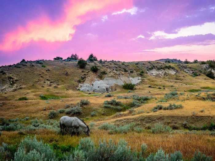 Theodore Roosevelt National Park in North Dakota is the site where the late president found inspiration for his conservationist policies, according to the National Park Service.