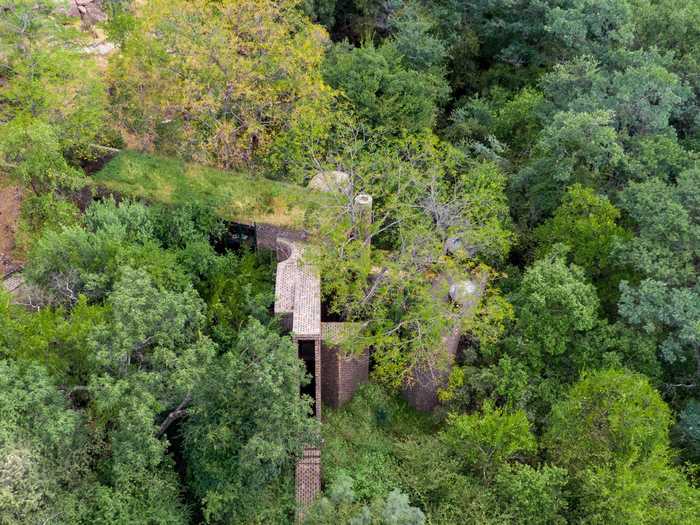 A home called The House of the Big Arch disappears into the canopy of a South African nature reserve.