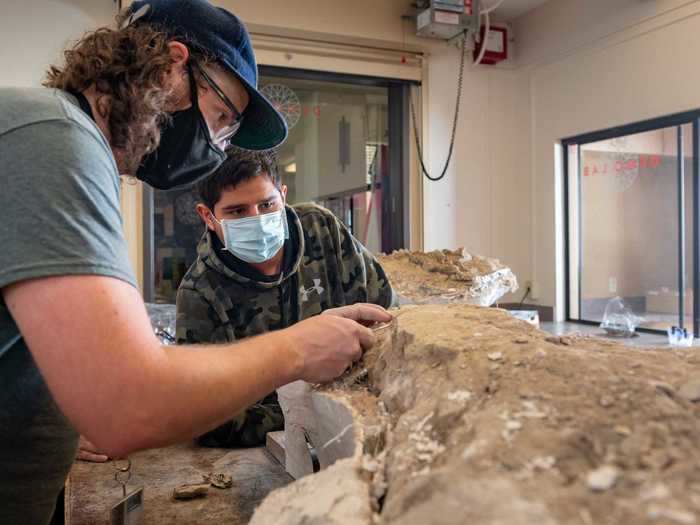 Once fully excavated, the fossils get taken to a lab in Chico. Shapiro said the team has finally secured a lab large enough to properly study all the findings. They