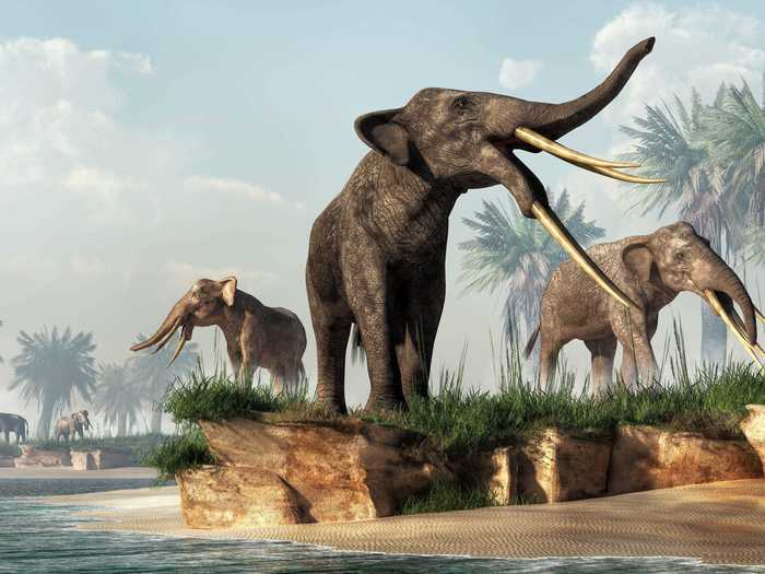 "I guess the creature that has my imagination working overtime is the gomphothere," Francek added, "a four-tusked ancestor to the modern elephant."