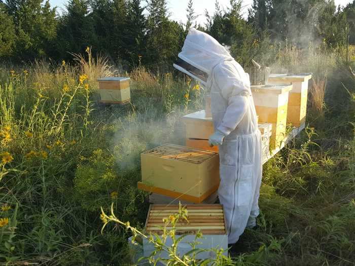 The professional beekeeper has become known for her viral TikTok videos where she