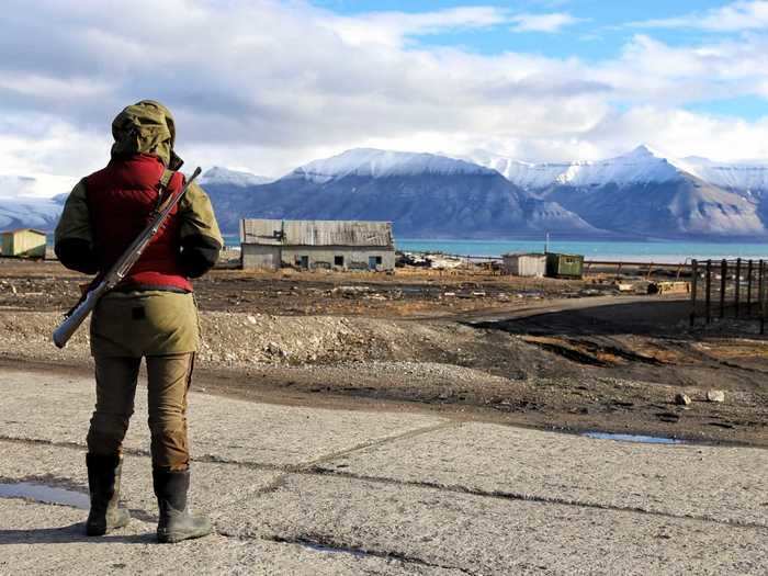 Because polar bears "frequently" pass through town, residents carry guns to protect themselves and tourists, according to The New York Times.