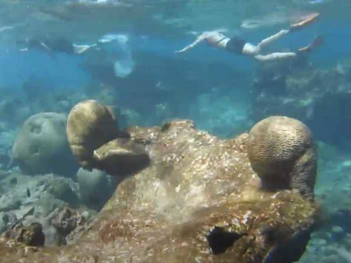 If you can swim, Meyer recommends visiting Buck Island Reef National Monument in St. Croix, home to an underwater trail created by President John F. Kennedy.