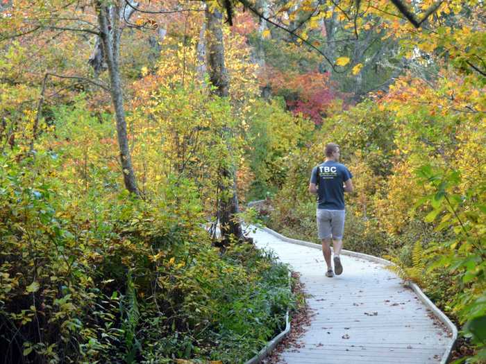 Just two hours from Boston, Cape Cod National Seashore is home to 11 walking trails that snake through dunes and wooded, marshy areas toward the beach.