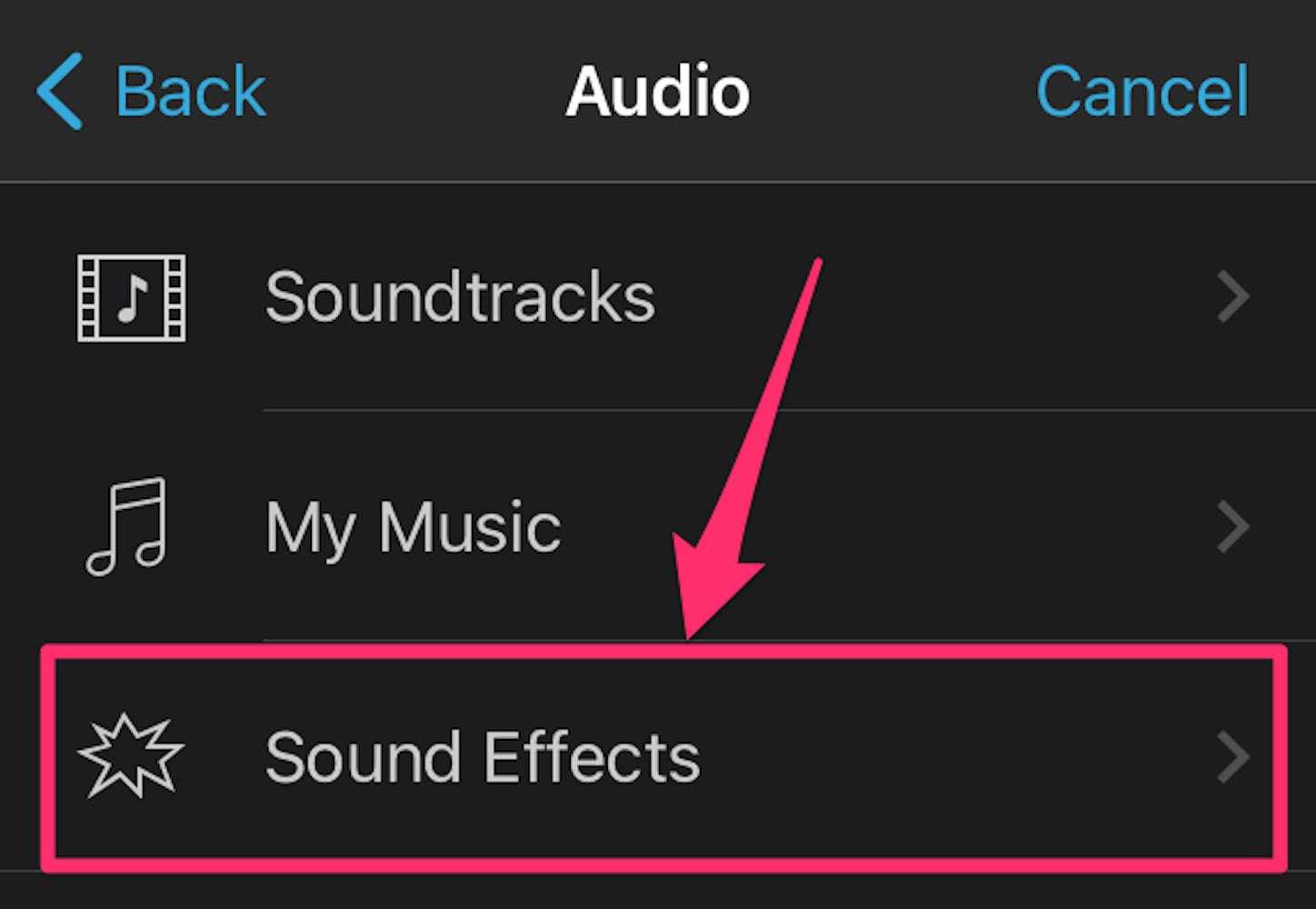 iMovie audio options