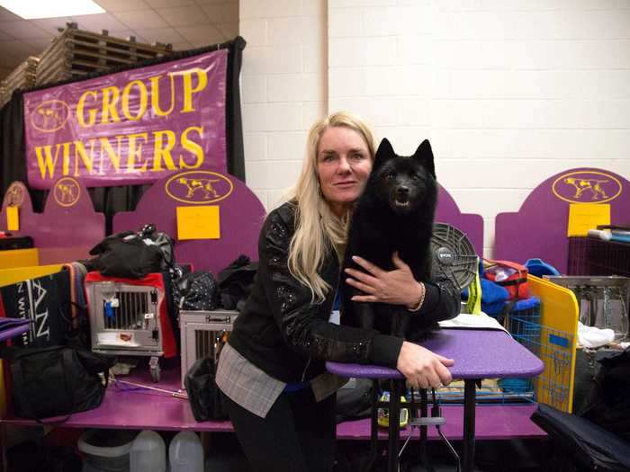 In 2019, a schipperke dog who had made the final seven for Westminster