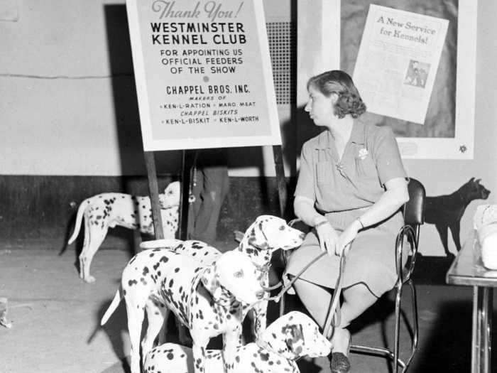 In 1941, there was no shortage of Dalmatians ready to compete.