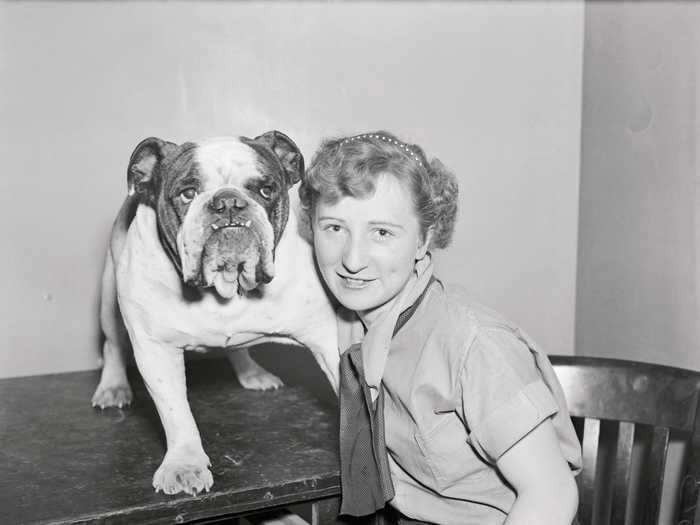 The Westminster Kennel Club Dog Show has been held annually since 1877. Among its fans was children