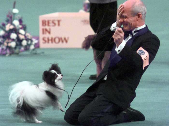 In 1999, Loteki Supernatural Being, aka Kirby, became the first Papillon to win the top prize - he was 8 years old.