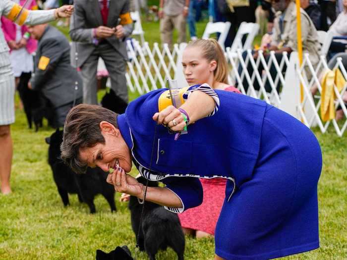 The handlers used treats and hand gestures to keep their dogs