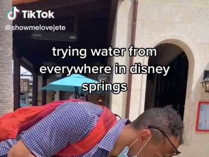 A man said he was fired by Disney World after posting controversial TikTok videos about the theme park.