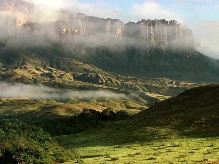 Canaima National Park in Venezuela has plants unique to the region.