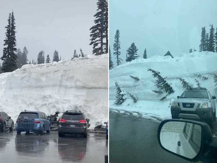 One of the first things Randall said visitors will notice is that the snow towers over all the cars.