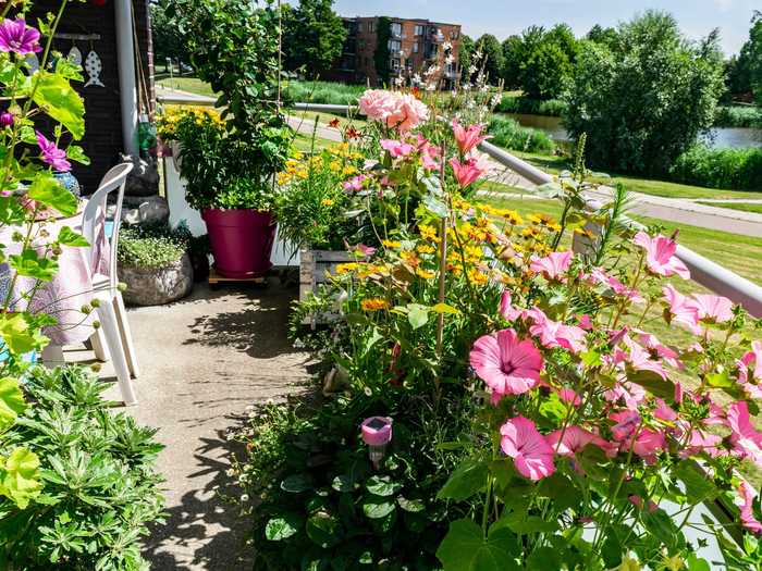 Colorful plants can add visual interest to your outdoor space.