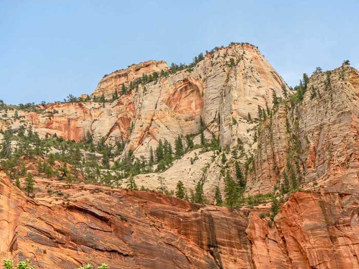 Unlike other national parks on this trip, Zion has public transportation that goes through the park. Because of this, a day in Zion requires a little more planning.