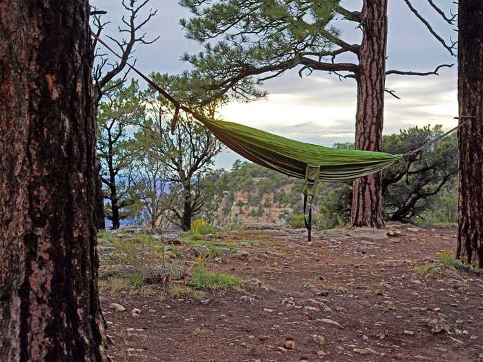 There are trees all around this area - perfect for setting up a hammock.