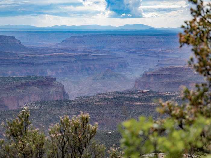 There is plenty to love about the North Rim, and the best views don