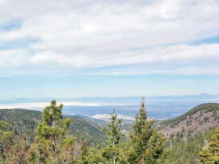 This forest has views that overlook south-central New Mexico ...