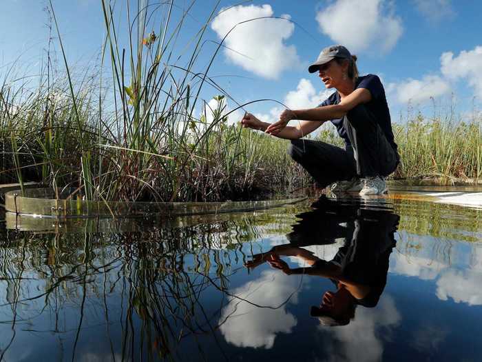 19. Environmental scientists and specialists