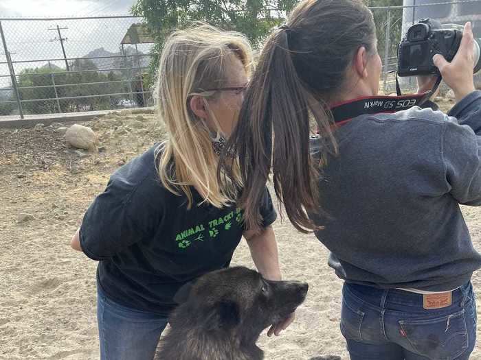 The friends decided to visit Animal Tracks, a 501(c)3 nonprofit sanctuary in California that takes in injured animals and those who have been involved in the illegal pet trade.