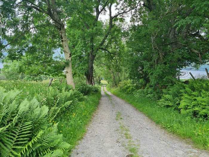 It took around 10 minutes to walk down the path, which was lined with farmland on either side.