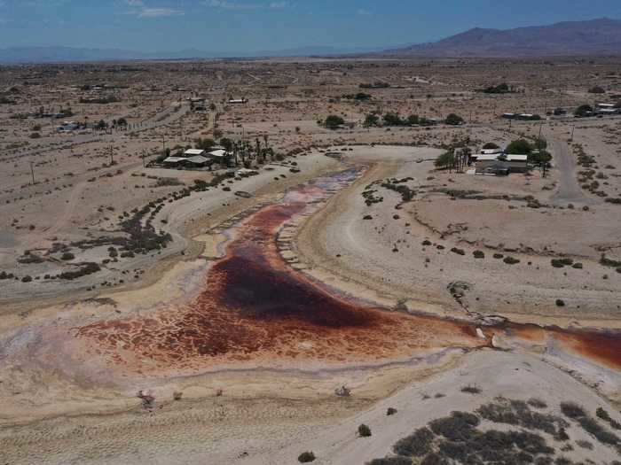 This canal in Salton City, California, is almost completely evaporated, leaving being only toxic residue. Salmon that typically swim in rivers and canals like this one between California